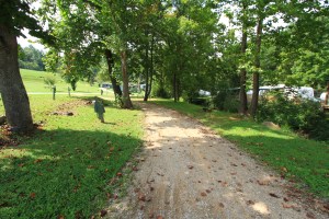 A long, shady 30 Amp and water site facing Middle Creek.