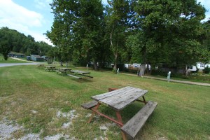 A level 30 amp and water back in located in a sunny spot.  Sites 43, 44, 45 and 46 are wonderful separate or for a group.