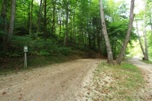 A spacious, shady 50 amp and water pull thru.  This section stays about 10 degrees cooler in the summer. 